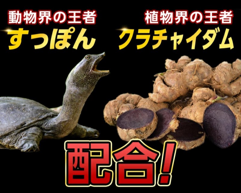 獣王ビーストの口コミ評判！効果は嘘という噂も調査